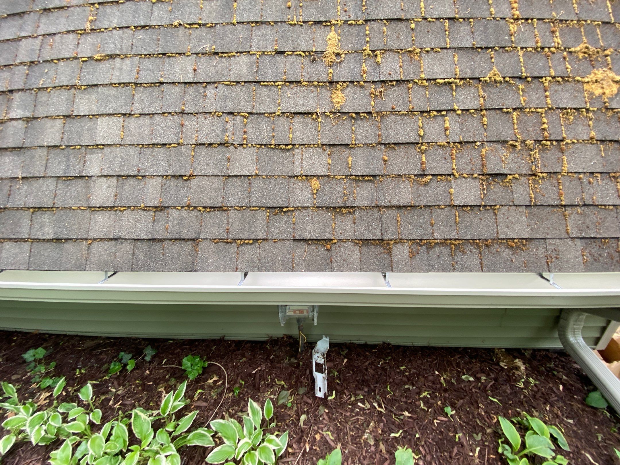 Siding Replacement using CertainTeed Restoration Classis D4 by 180 Contractors