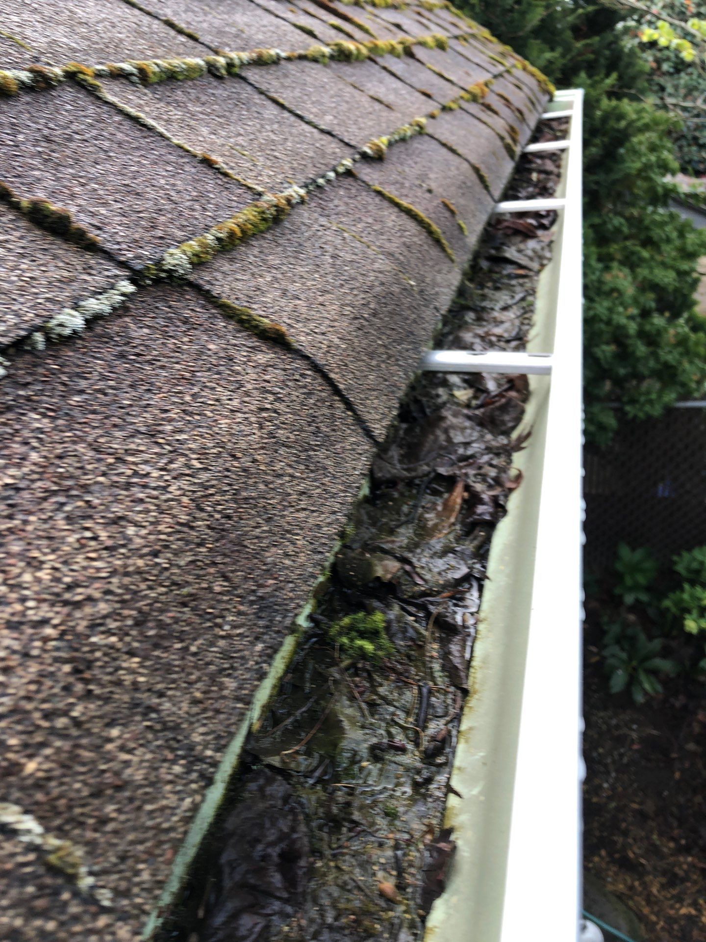 Project in Seattle by Peaks and Valleys Construction