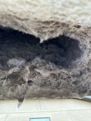Air Duct Dryer Vent Cleaning in Minneola