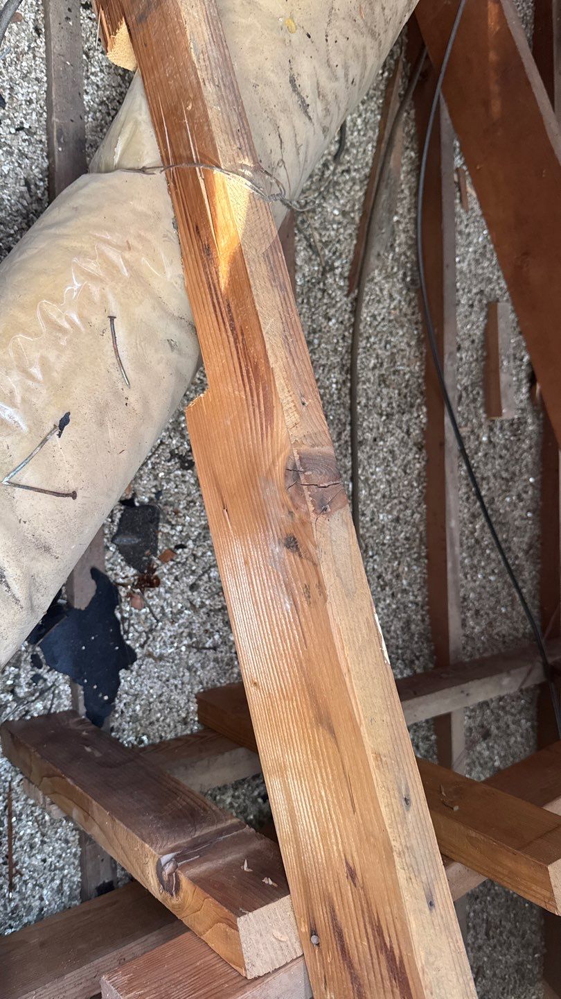 Willa Holmstock by NuLead Construction Inc