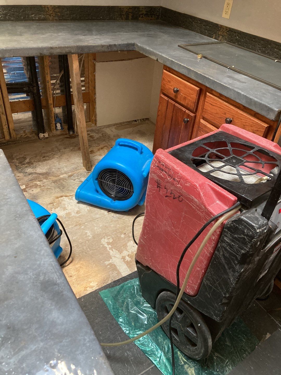 Mold Remediation using Containment by Accountable Home Services