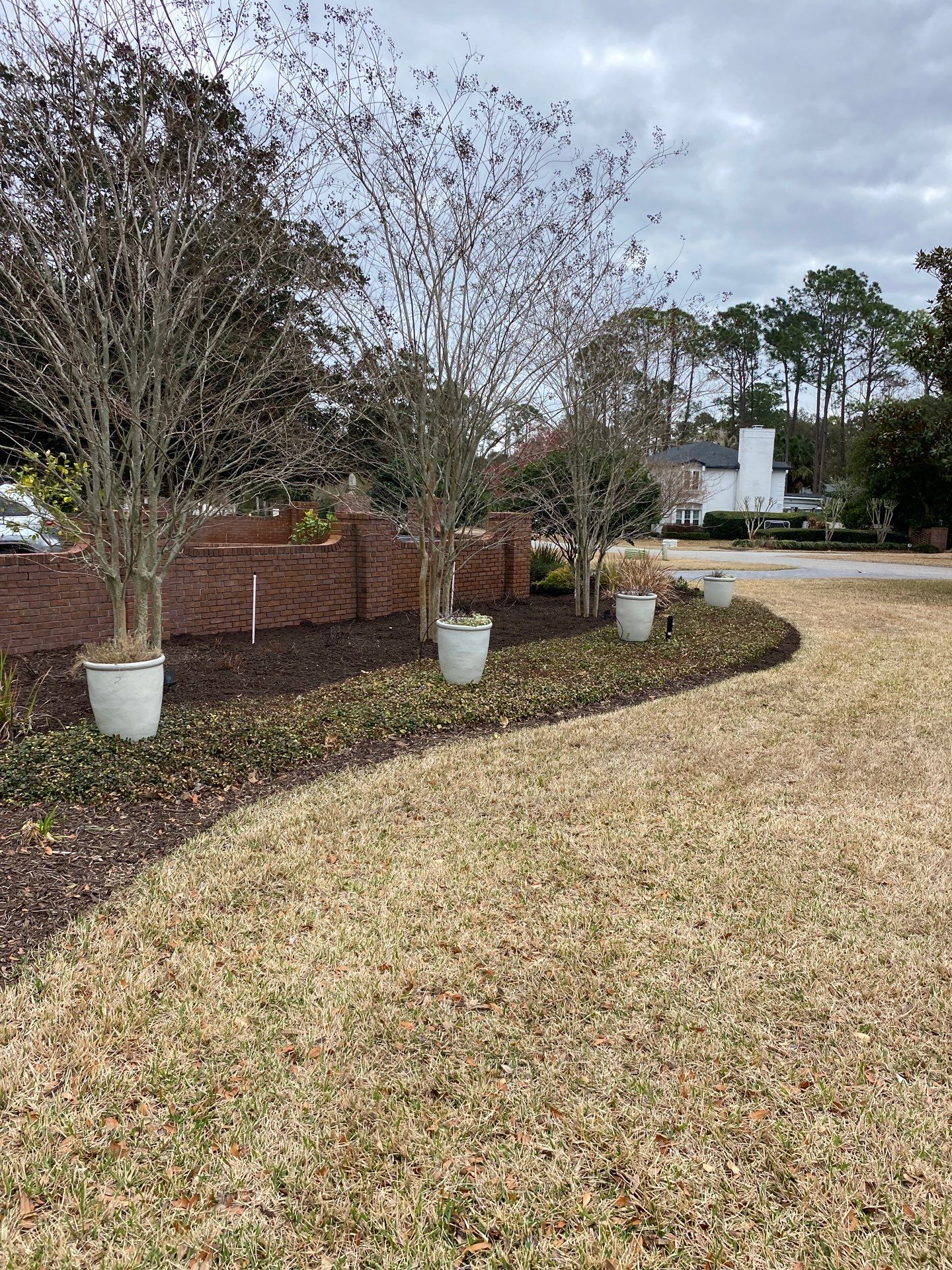 Deerwood Resident | Tree Removal & Mulch Install by ProGreen Services