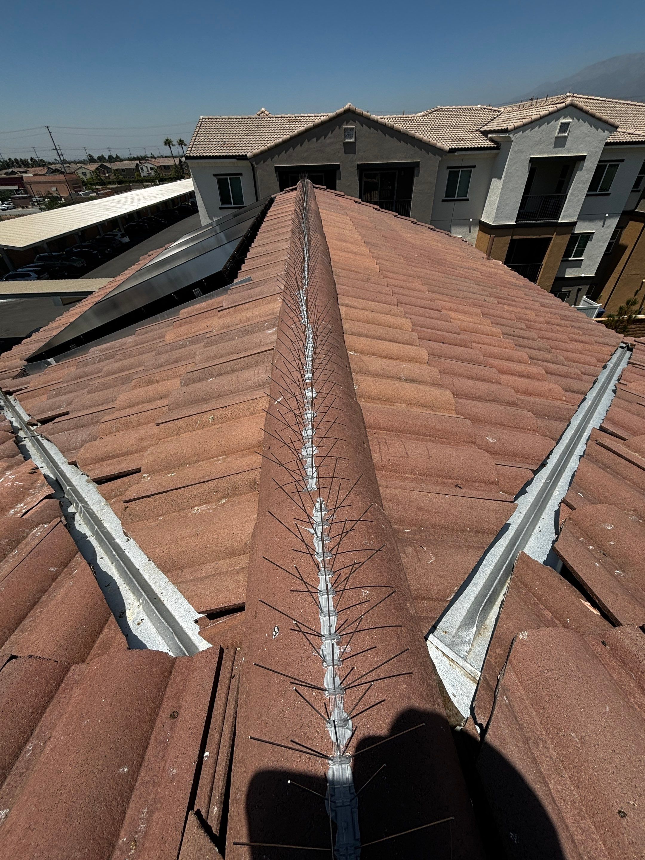 Solar Panel Bird Proofing in Fontana Ca by Palm Coast Solar Cleaning