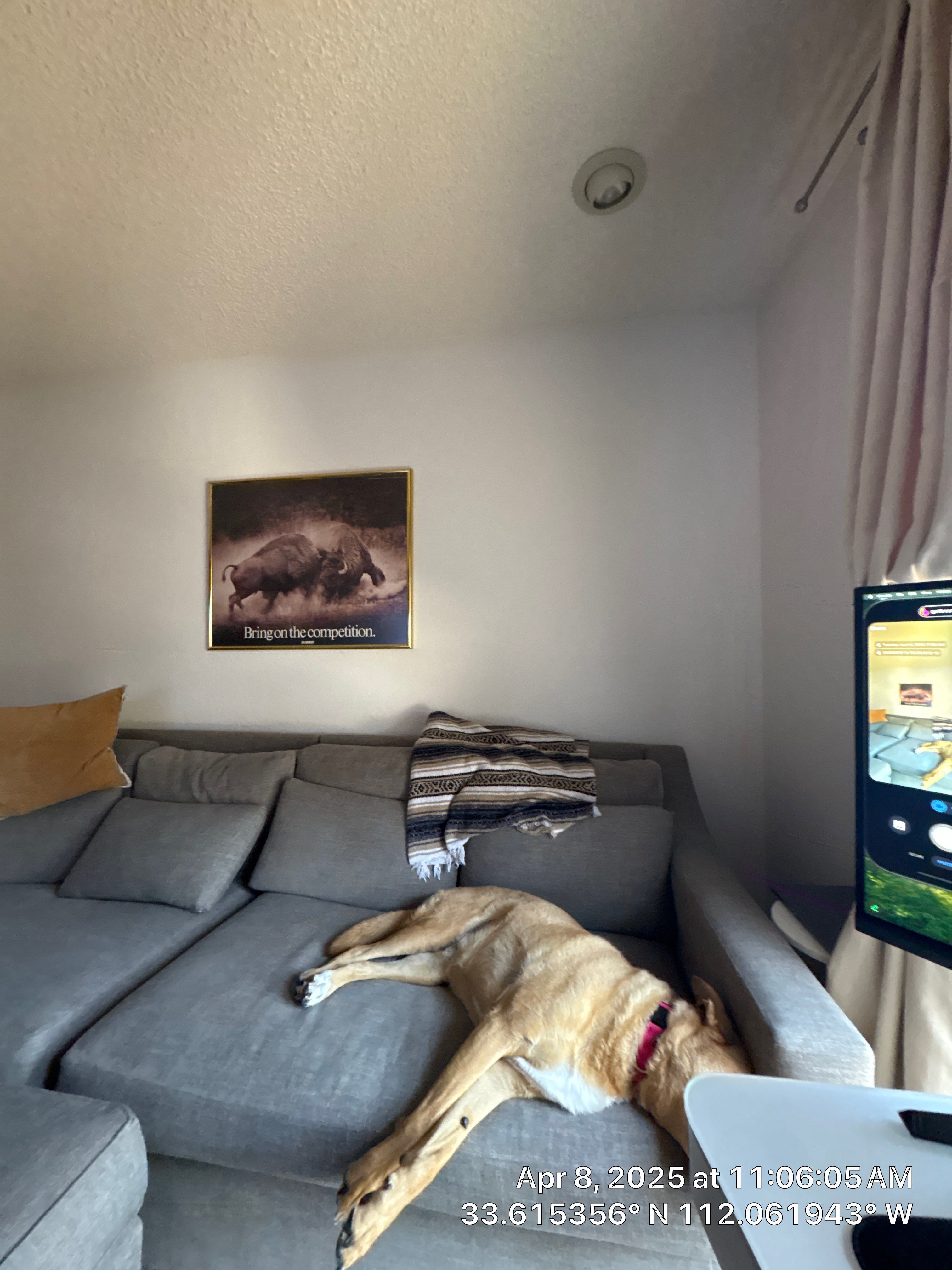 Basement Remodel using Cameras by CompanyCam Sales Demo