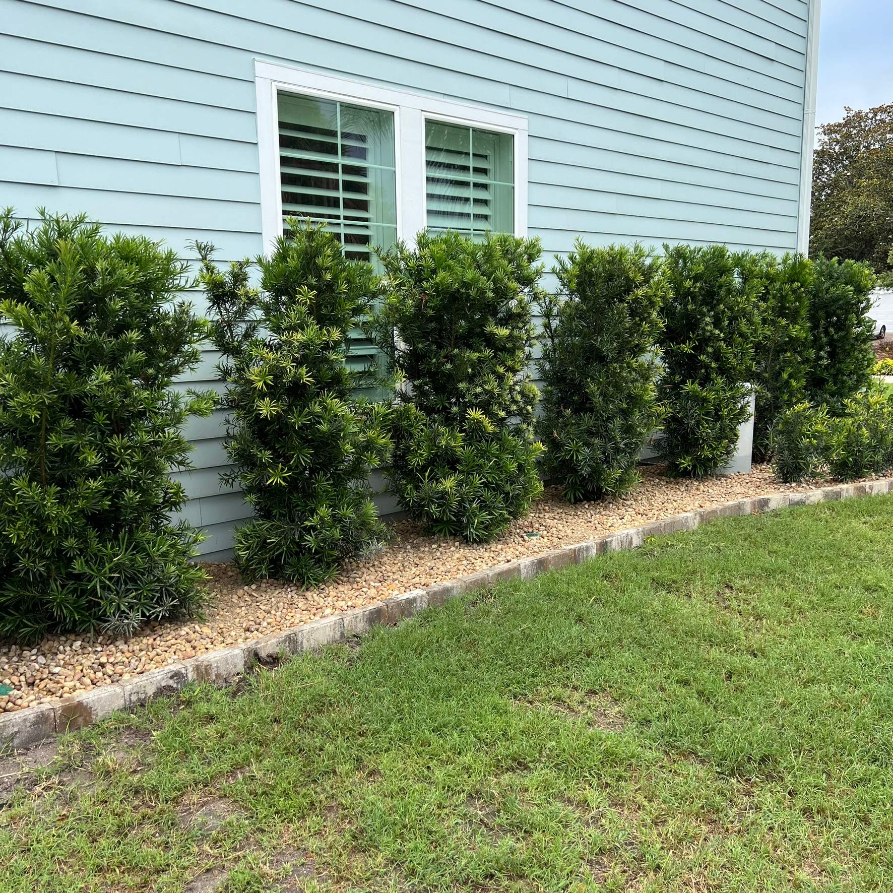 Rock & Agave Installation | Residential by ProGreen Services