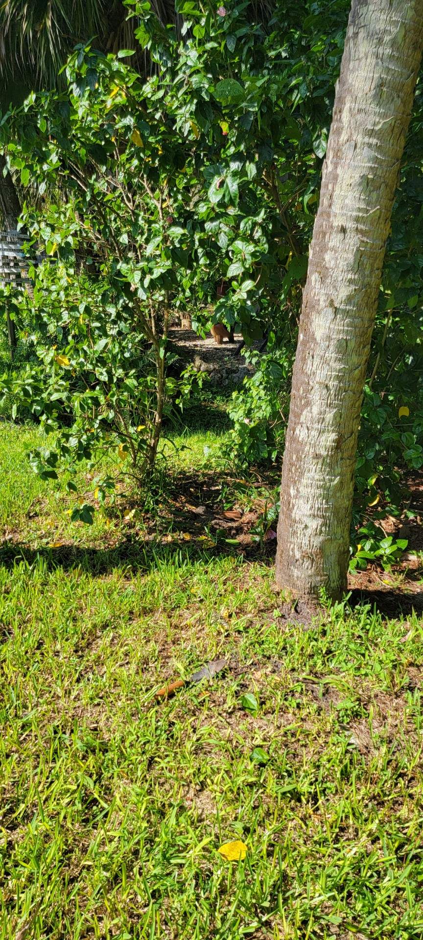 Palmetto, FL 4ft. Tall 3-Rail Aluminum  by Asap fence and gates, LLC