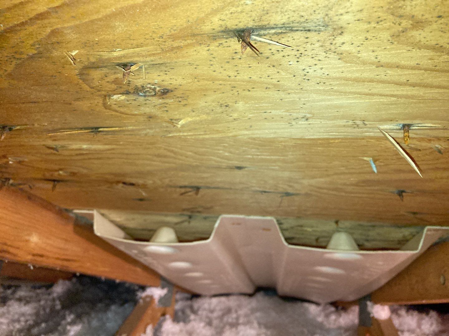 Mold Remediation in Attic by Accountable Home Services
