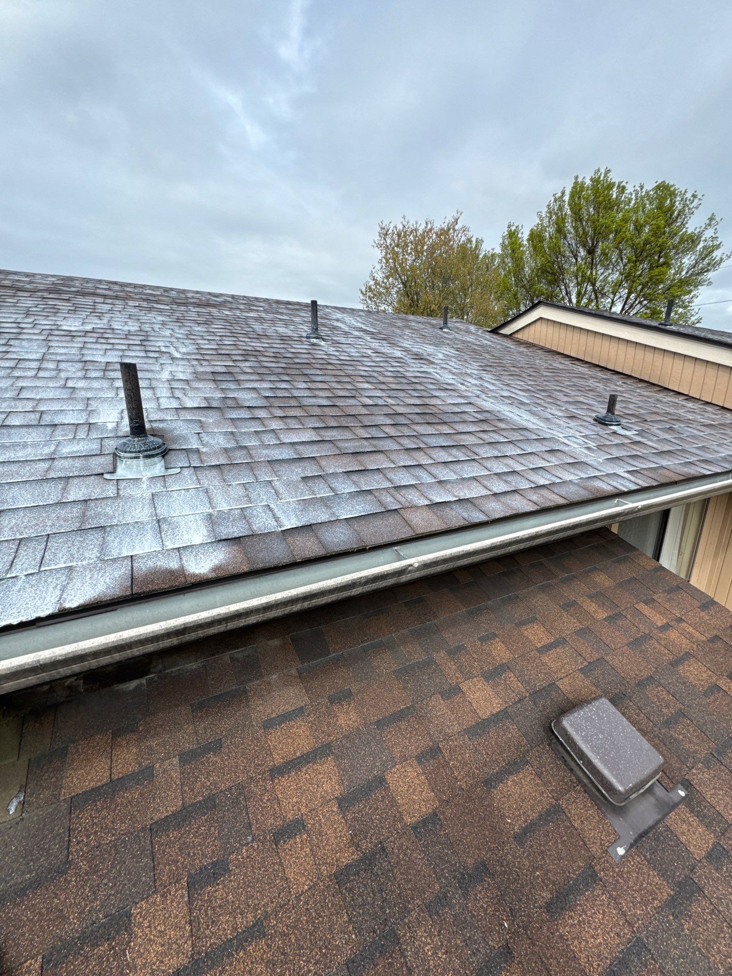 Project in Grants Pass by Roof Maxx of Grants Pass