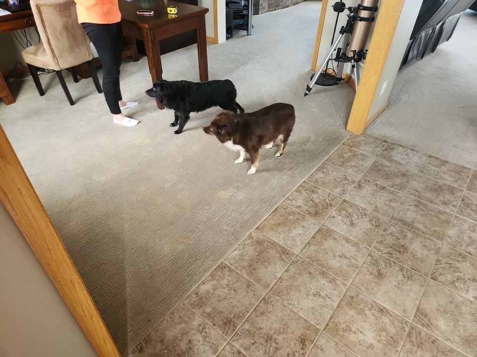 Abby Wenninghoff by FloorCo