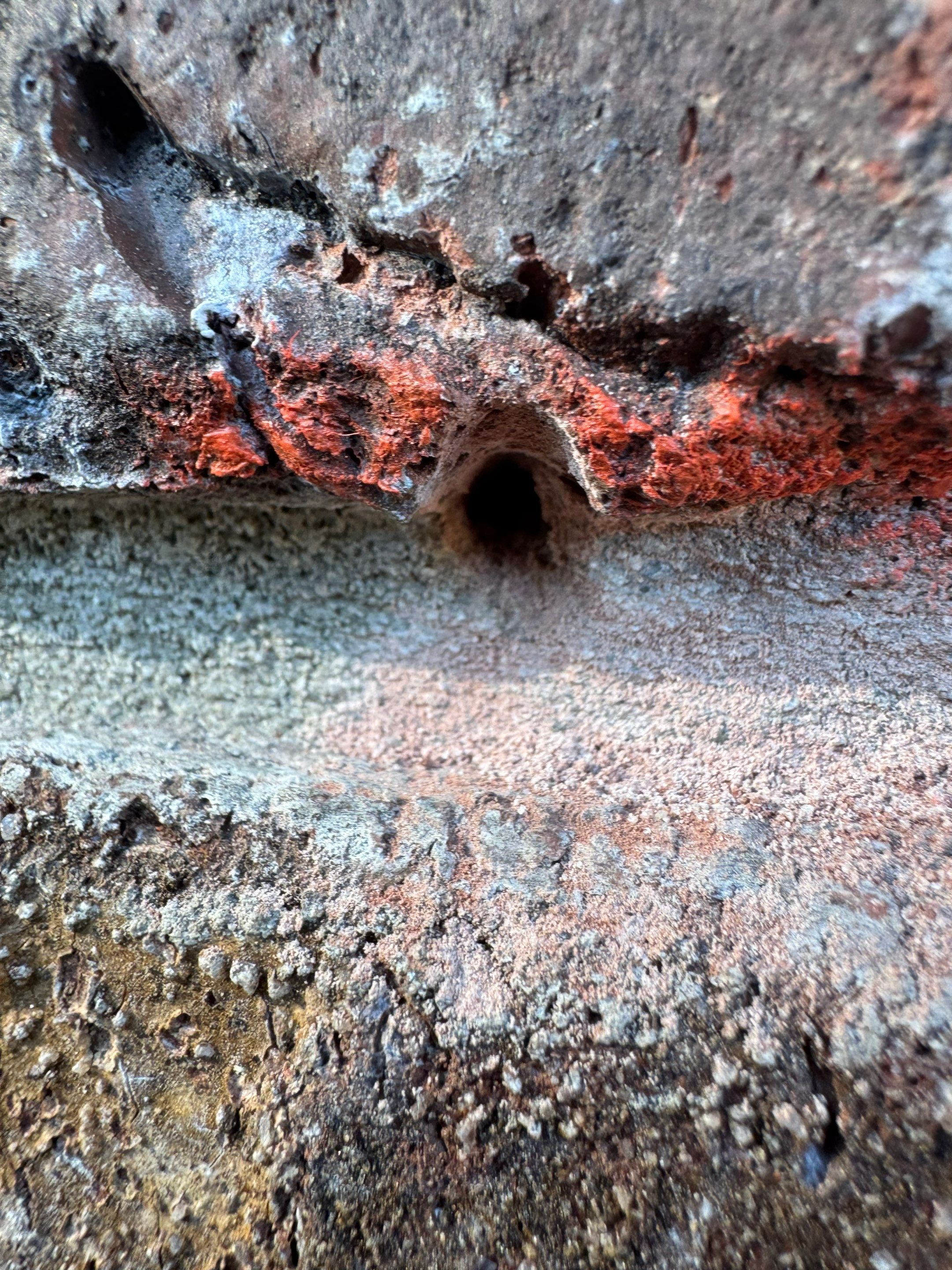 Project in Kissimmee by Payoli Solar