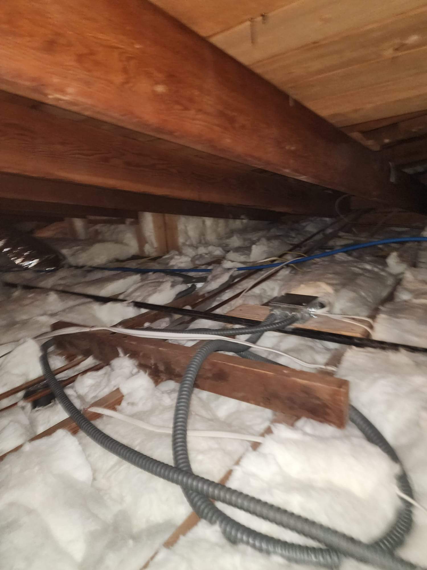 Project in Los Angeles by Advanced Attic Solutions