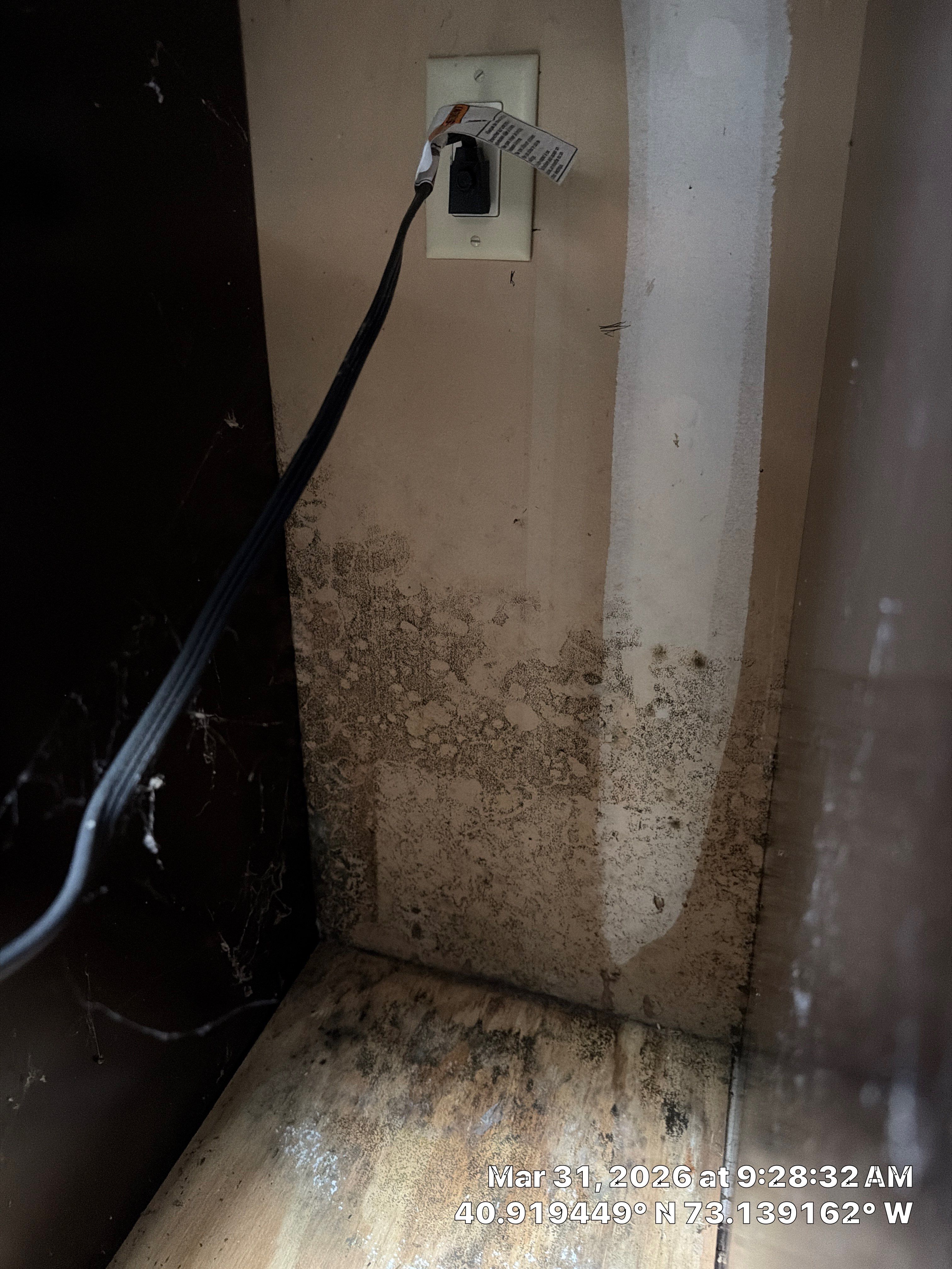 Mold Remediation and Water Damage Repair in Stonybrook, NY by Newhouse Restoration