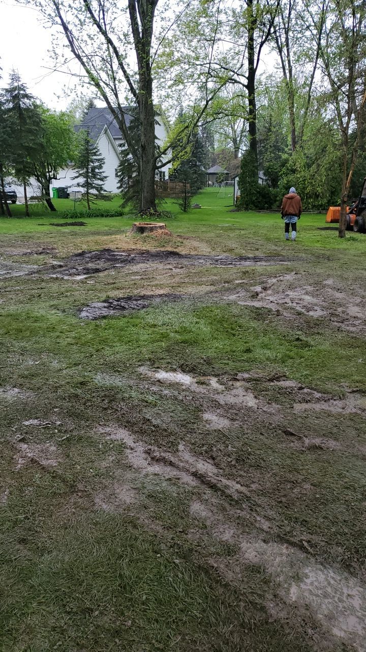 Tree Removal using Tree Removal by Mike Jones & Sons Tree Service LLC 