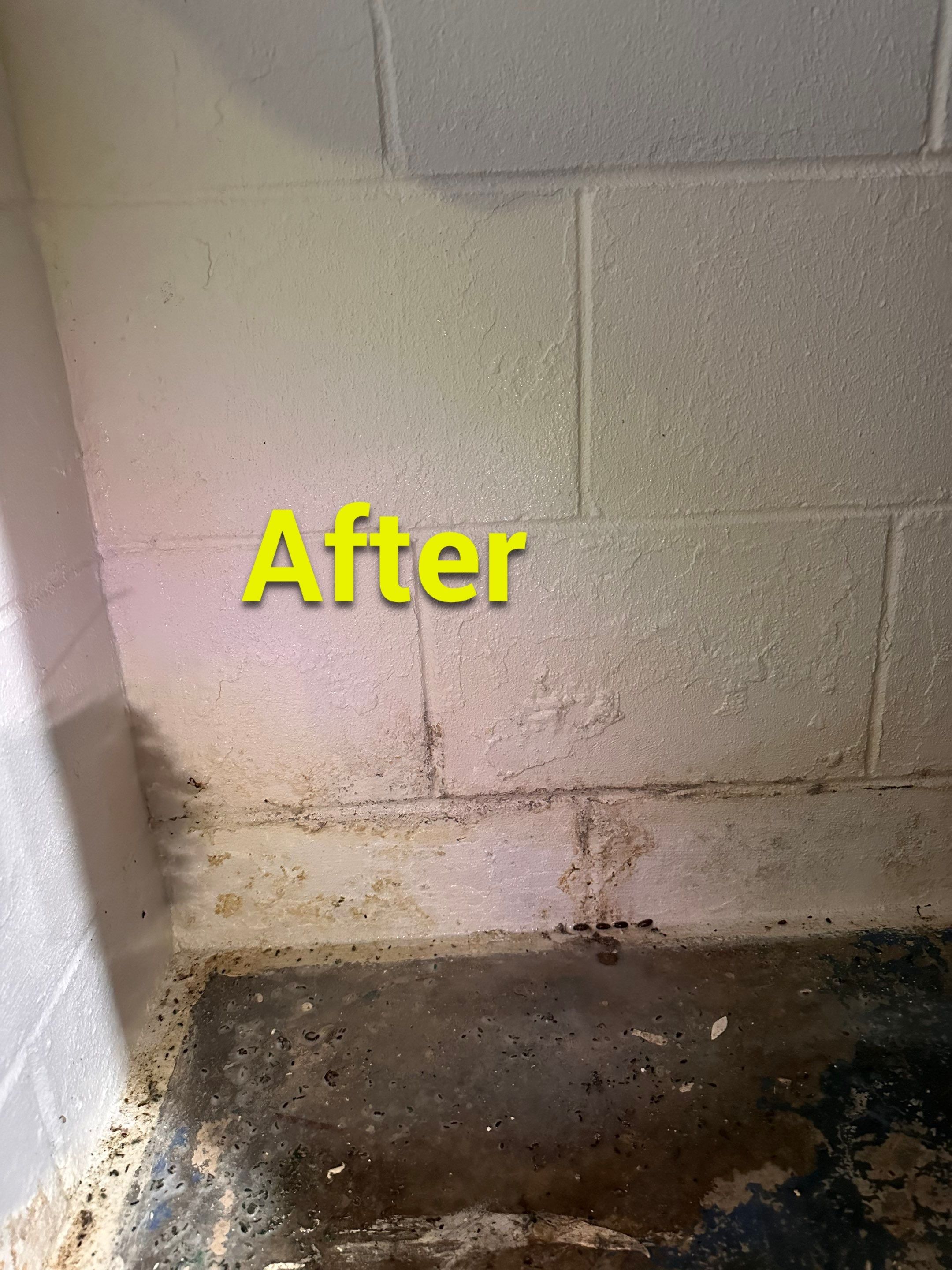 Port Byron Waterproofing/Vapor Barrier/Egress Windows by ACE Waterproofing & Basement Solutions