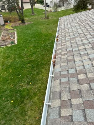 Turtle Shell gutter protection installation in Naperville, IL 60540, photograph 8