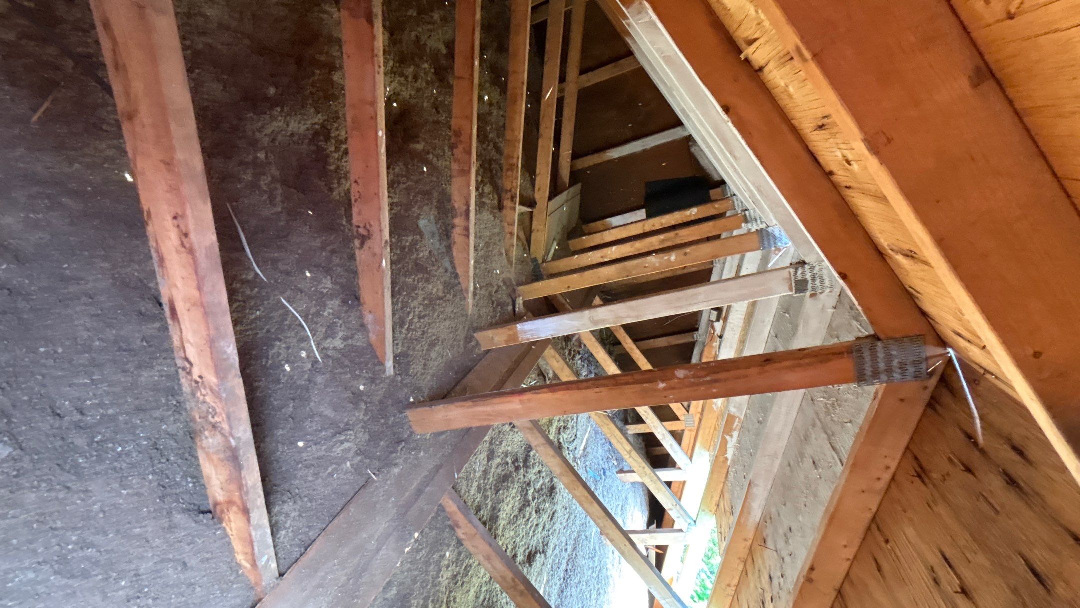 Roof Replacement using Owens Corning Tru Definitions by 180 Contractors