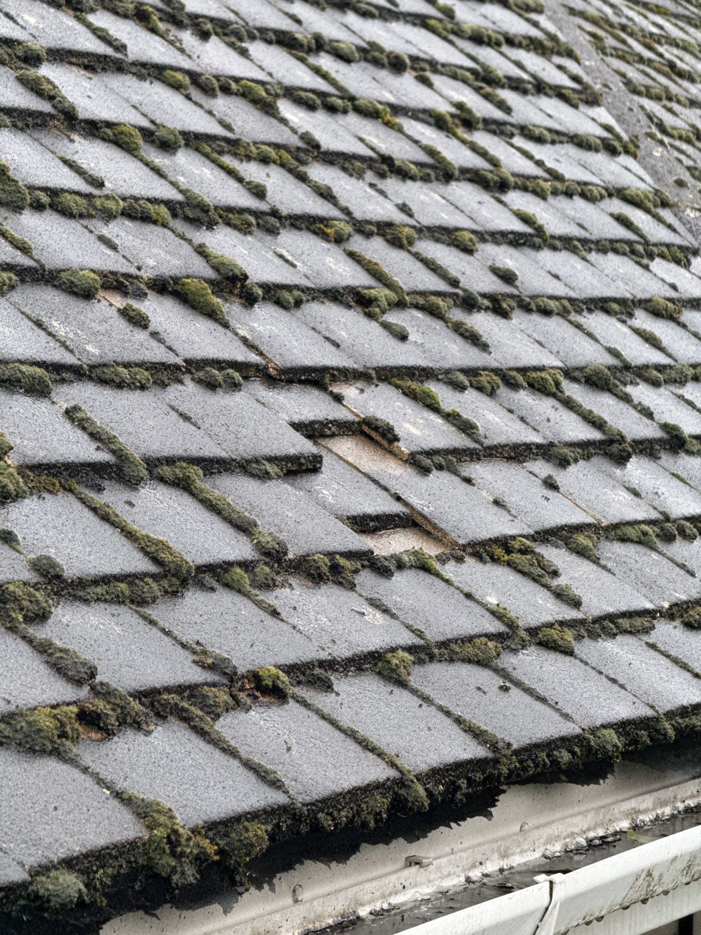 Commercial Roof Clean -Block Of Flats using Honda 15lpm Low Pressure Washing Machine by Ges Exterior Cleaning ltd