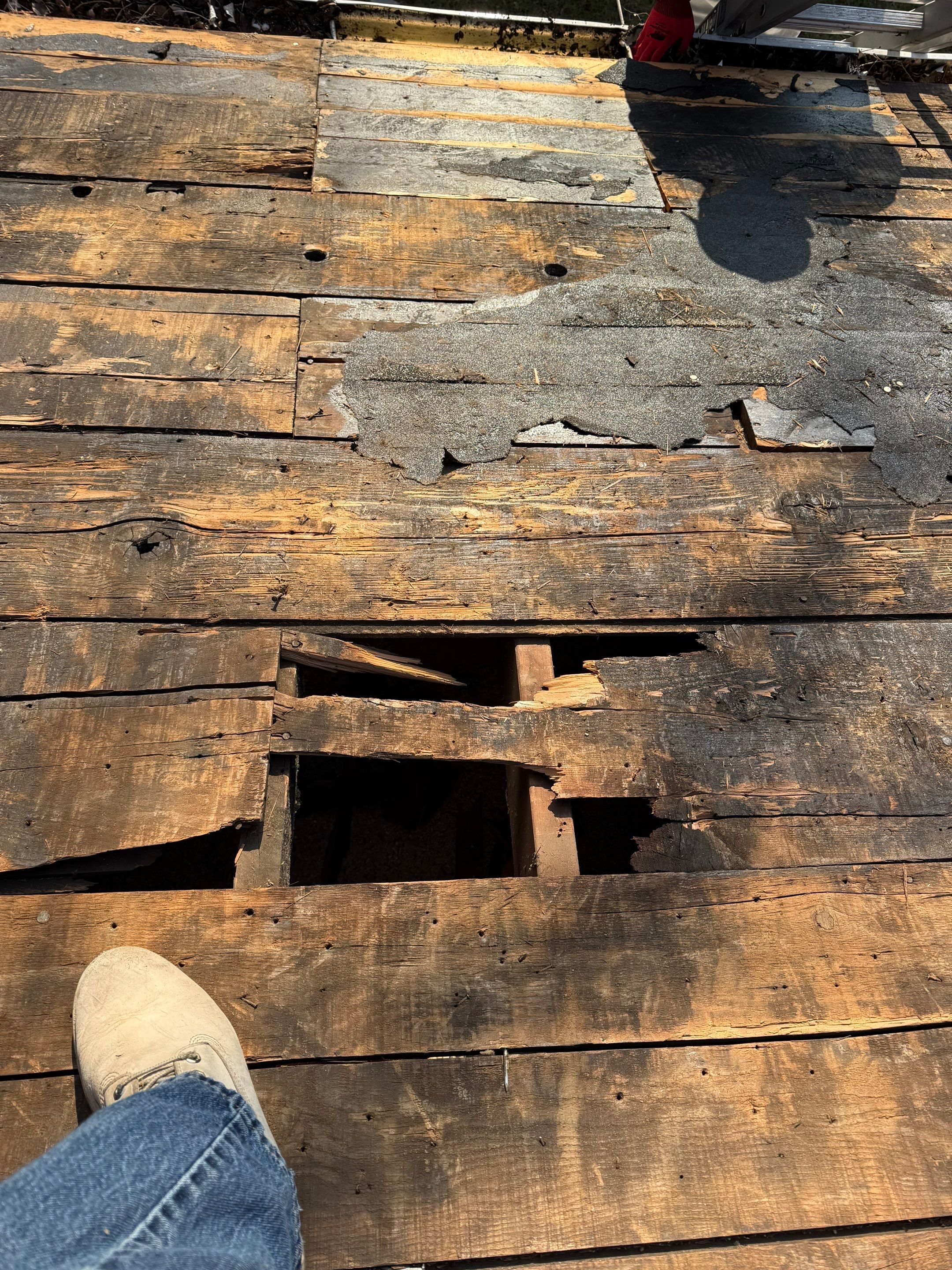 Project in Hazel Park by Eave Roofing