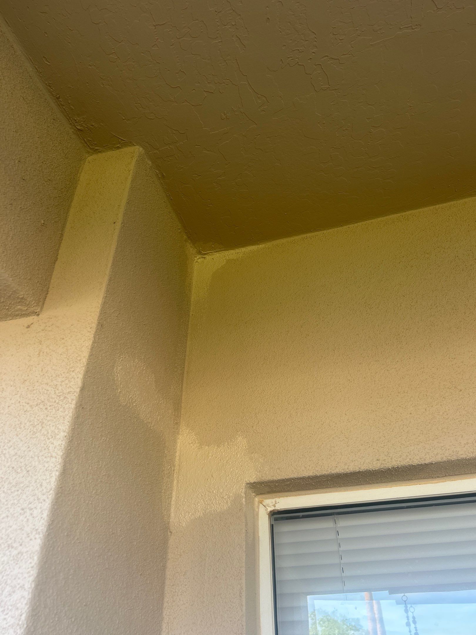 Project in Sun City by Crush Development Services LLC