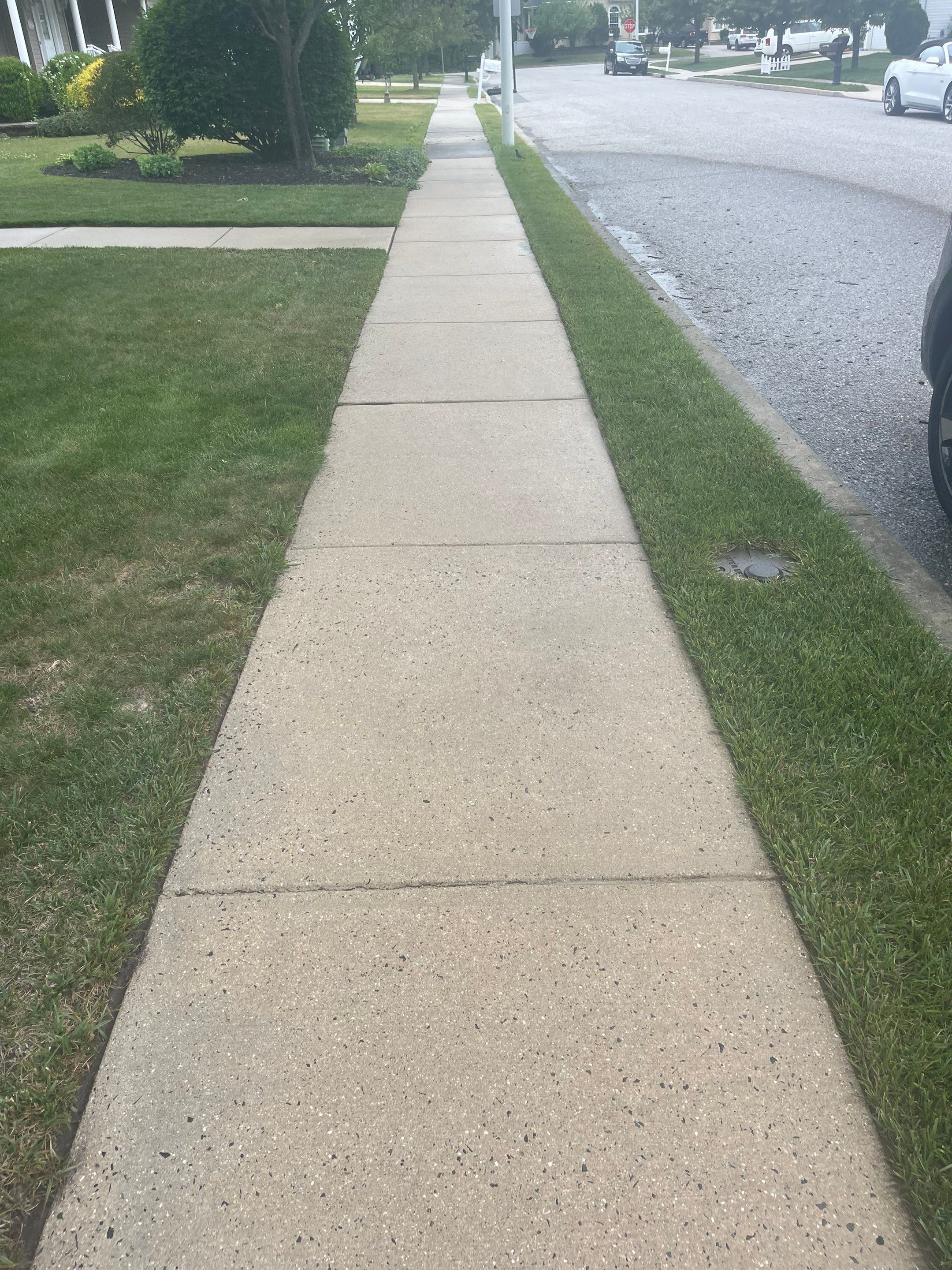 Residential Exterior Cleaning by SJ Exterior