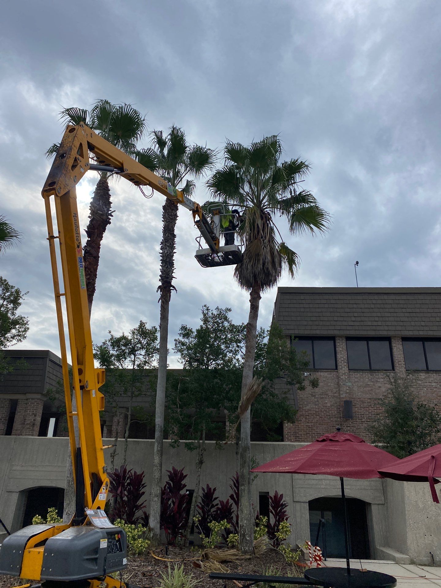 Volunteer Work | Episcopal High School of Jacksonville by ProGreen Services