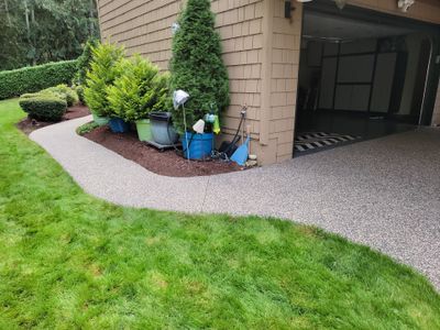 Walkway and driveway