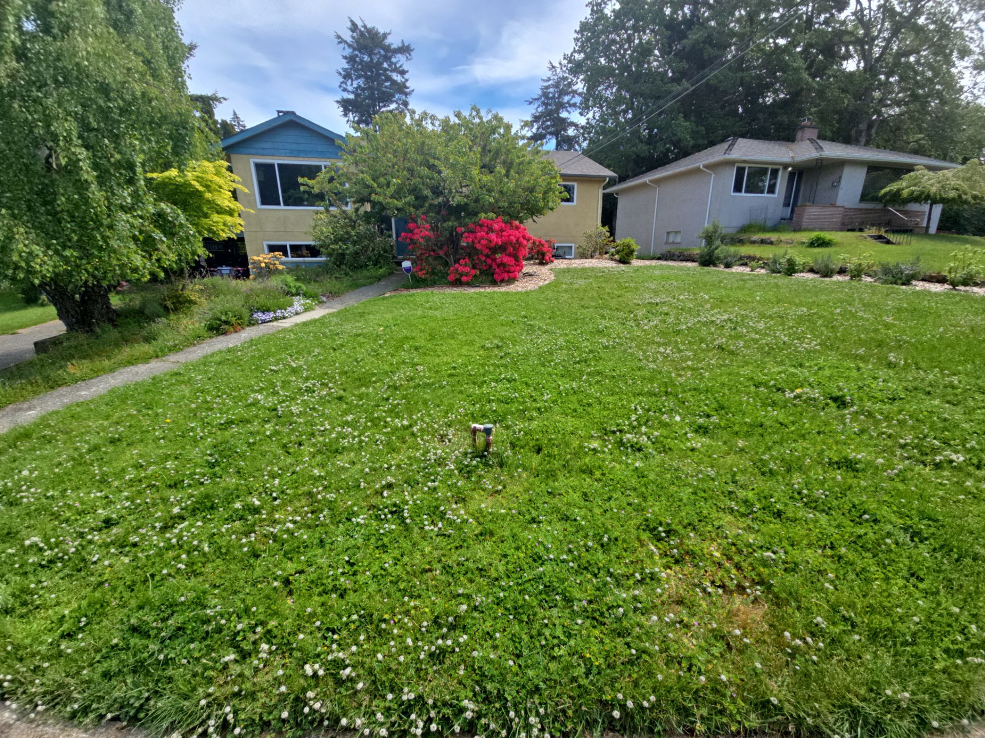 Front Yard Ecological Conversion – A West Coast-Inspired Low-Maintenance Oasis by Habanero Garden and Exterior Care