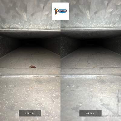 Air Duct Cleaning With a Vacuum Truck in Oakdale, PA