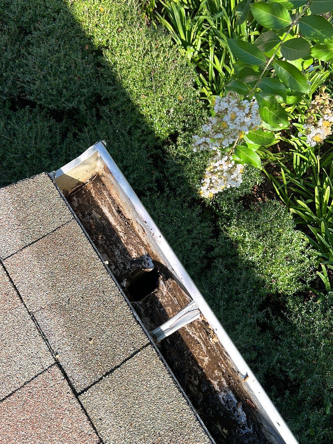 HOA gutter cleaning after photo.