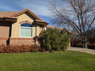   Gutters and Downspout Cleaning
