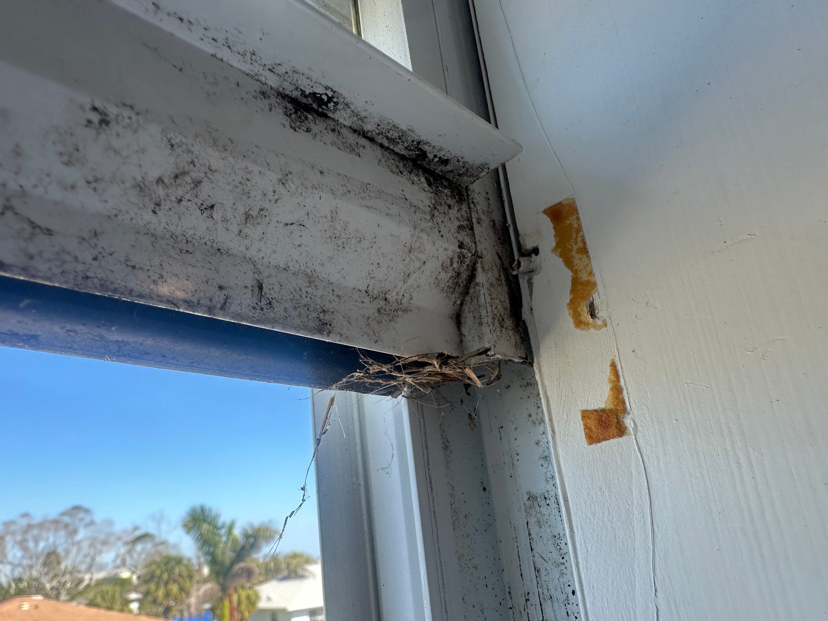 Water Damage Claim in Holmes Beach by FLAPA & KeyStone