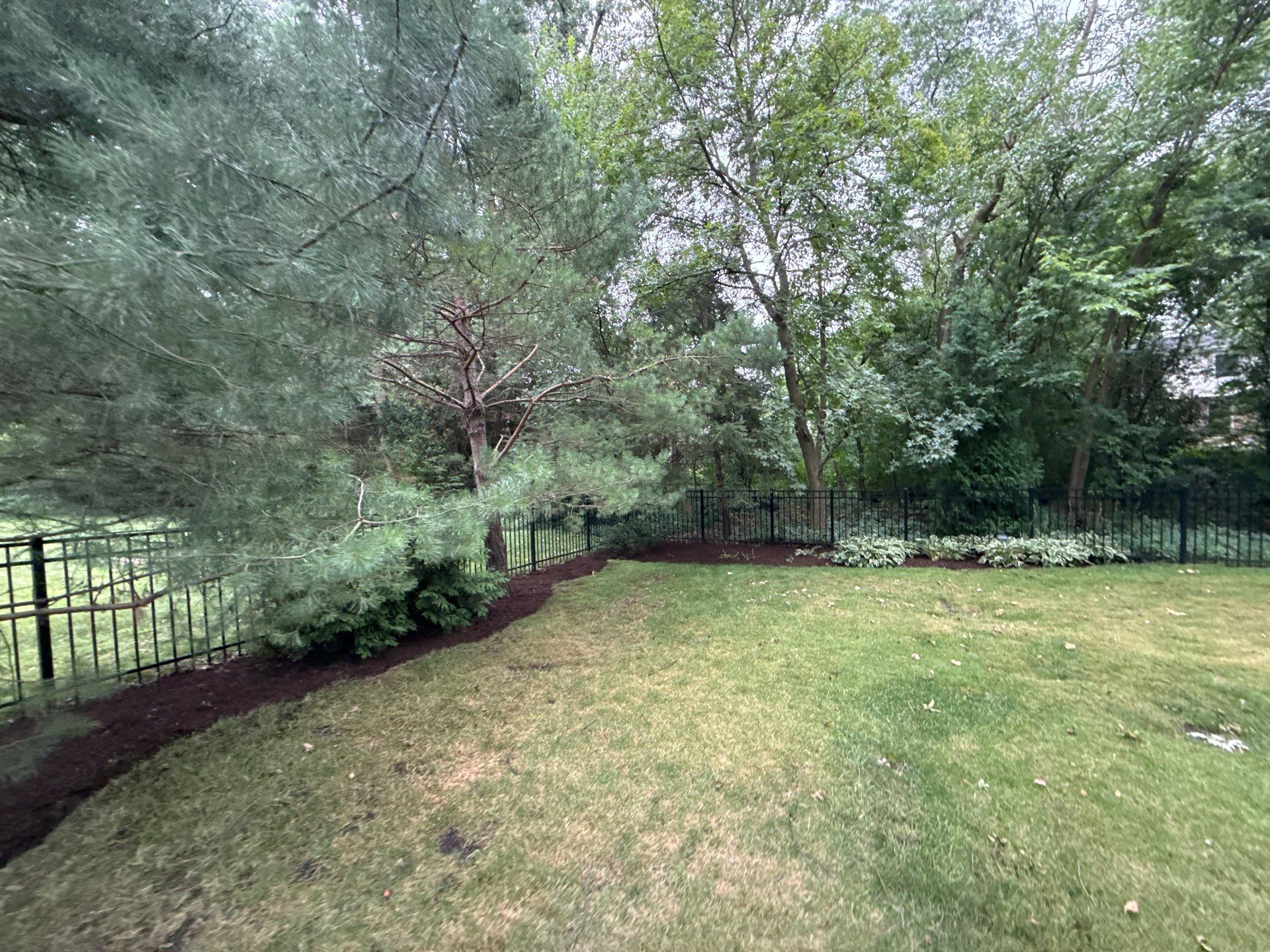 Christopher B. - Glenview, IL by A&N