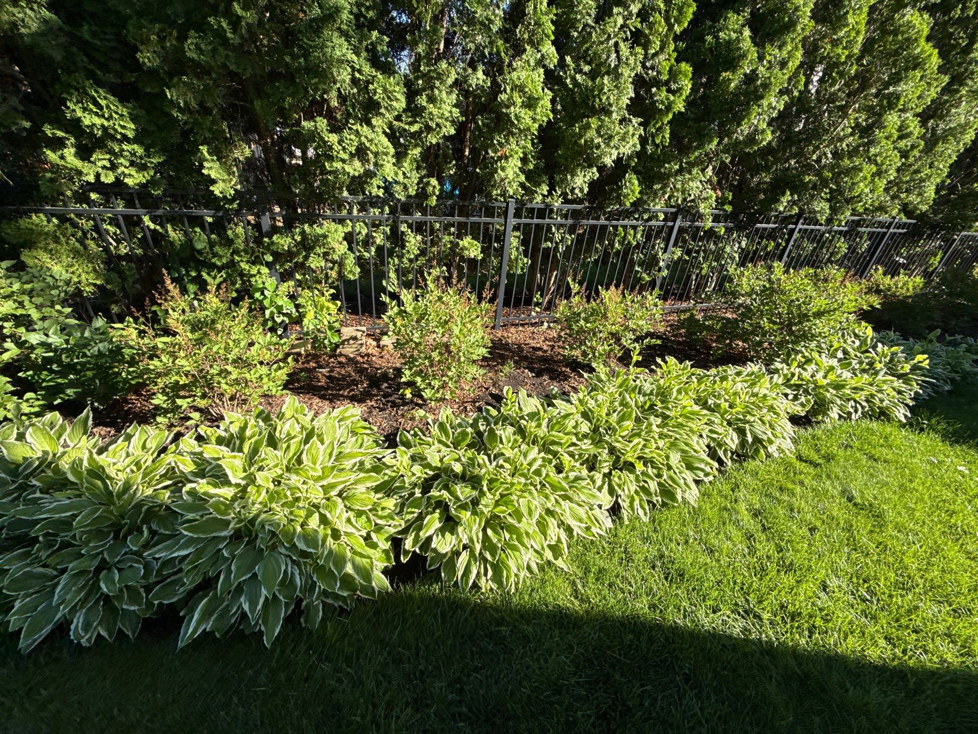 Lesley D. - Arlington Heights, IL by A&N 