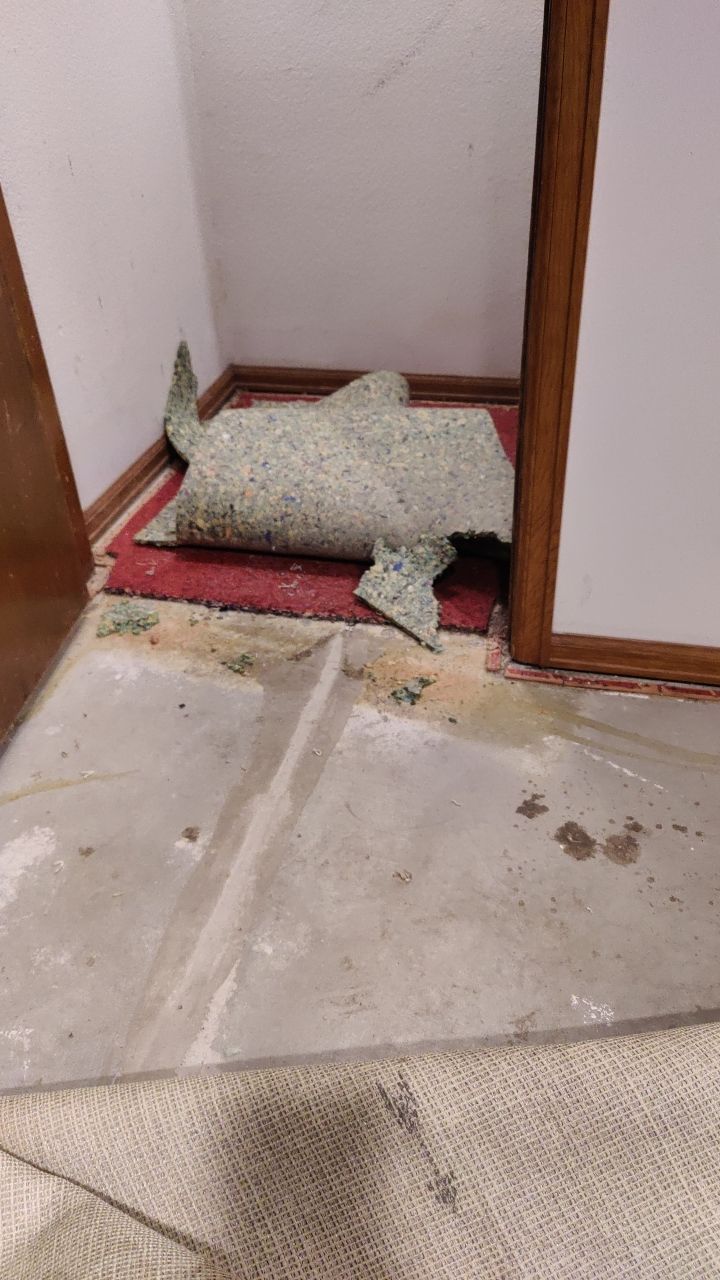 Water Damage  by Accountable Home Services