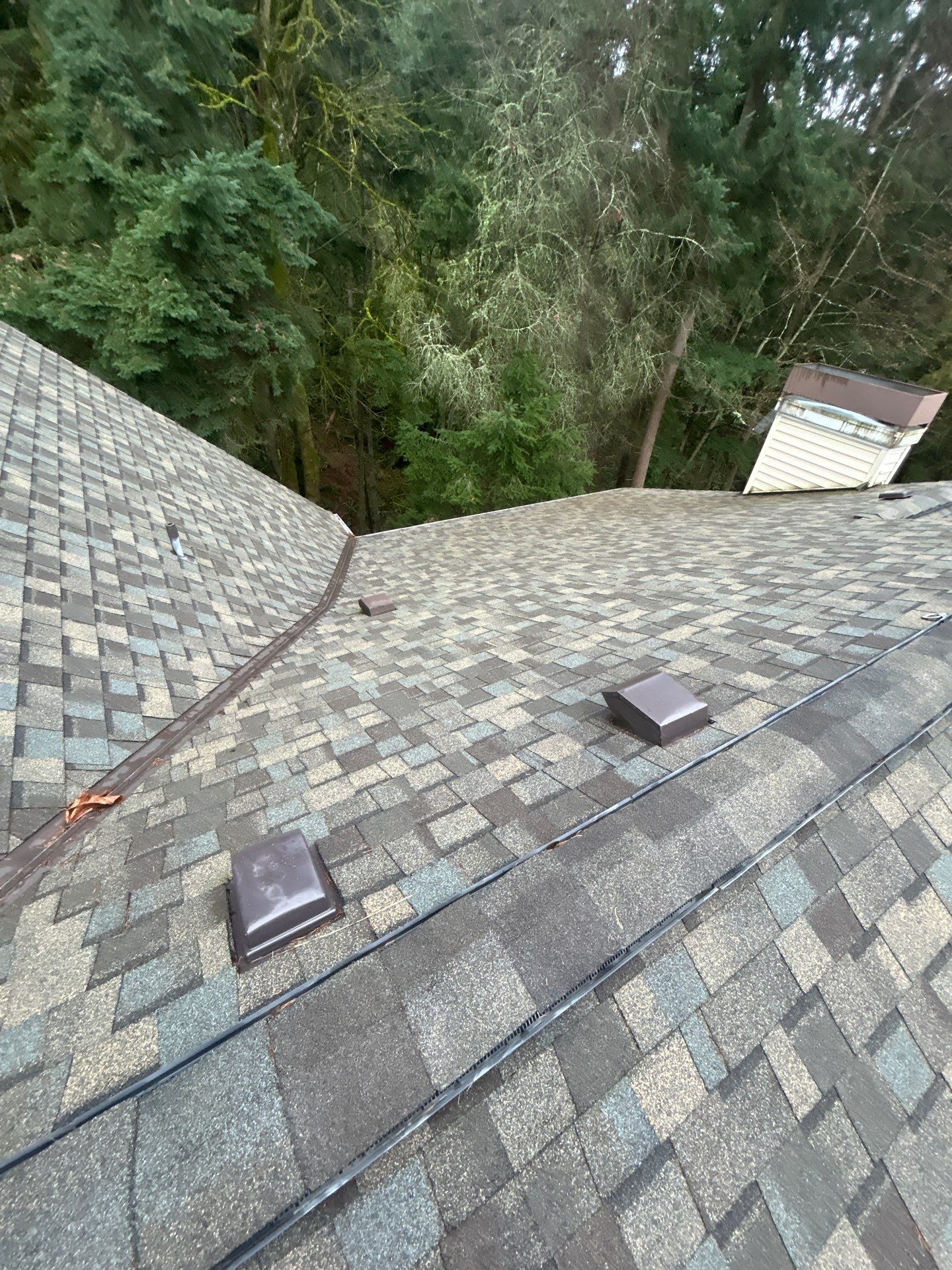 Project in Bothell by Connolly Construction Company