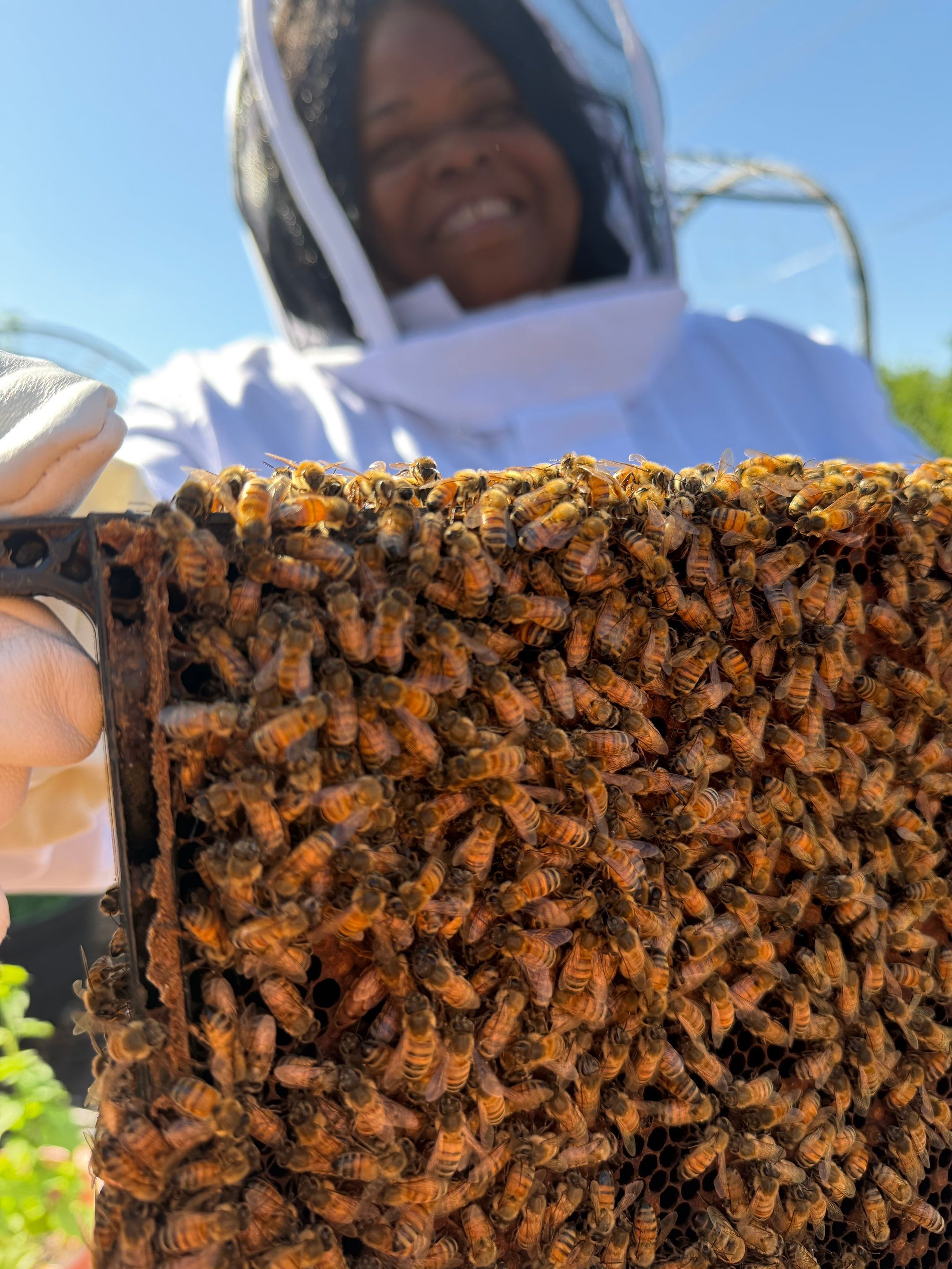 New beekeeper in Rowlett by Rockwall Honey Bee Company