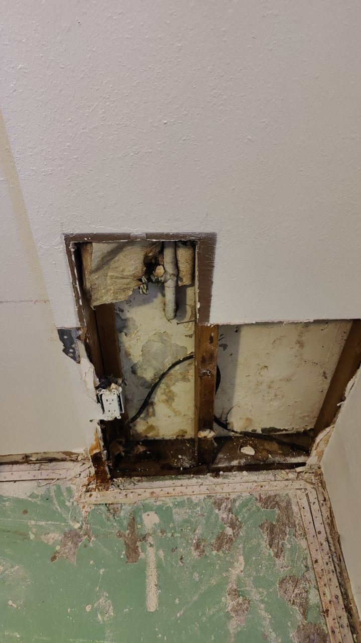 Mold Remediation by Accountable Home Services