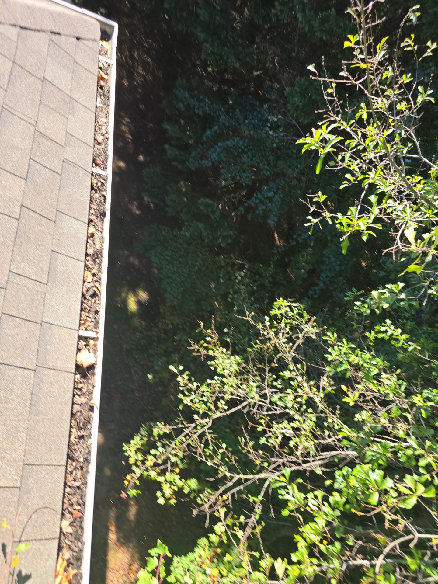Commercial gutter cleaning Gastonia, NC before photo with filled gutters