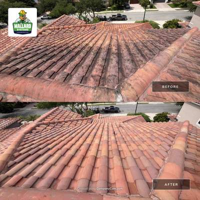 Roof Cleaning in Lake Nona Orlando