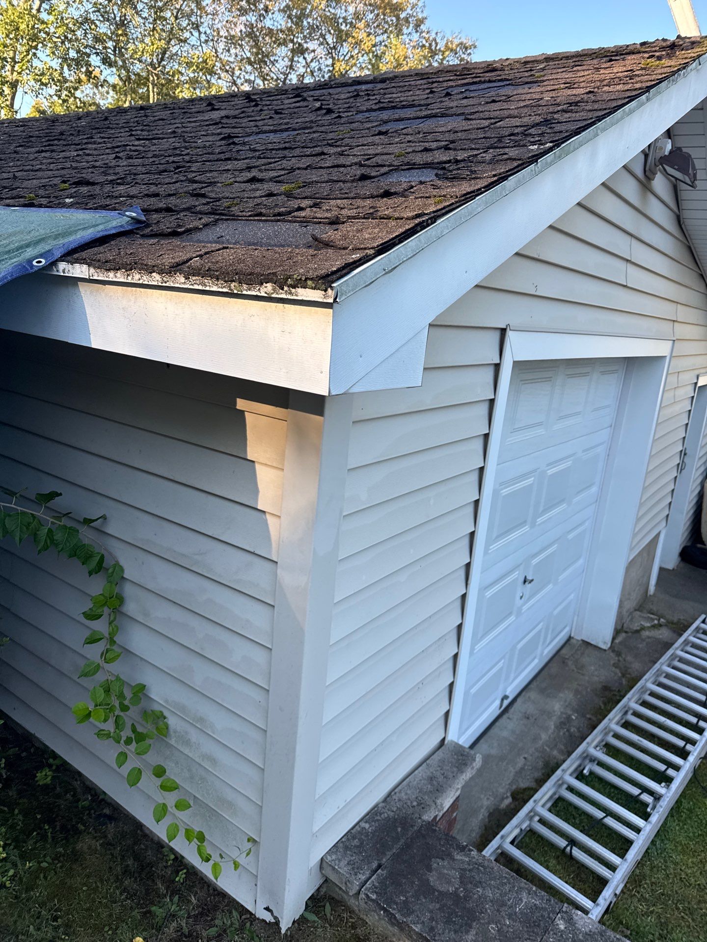 Roof Replacement in Methuen, MA by Mighty Dog Roofing of Greater Middlesex County