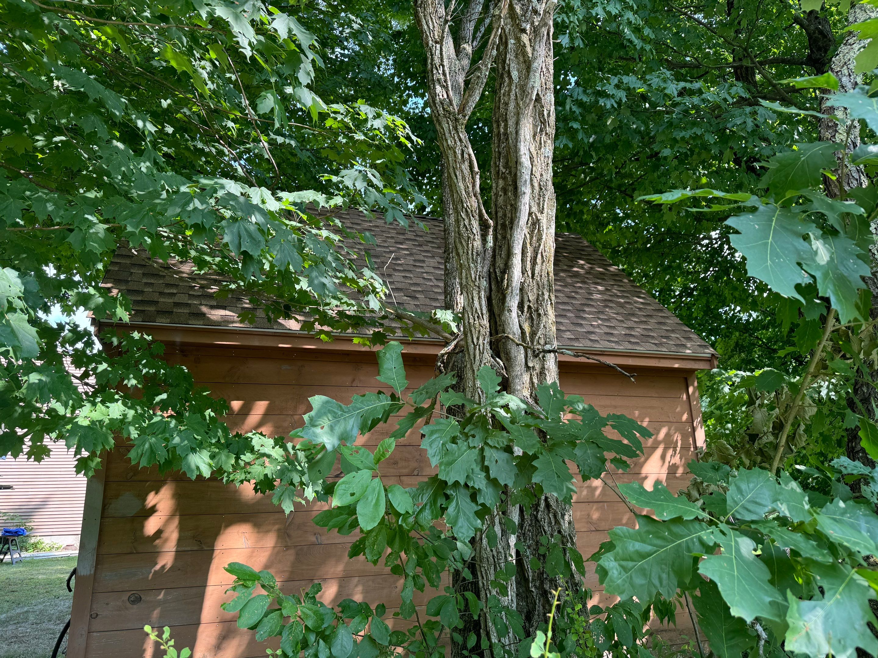 Garage and Shed Roof in Northwood New Hampshire by Tall pine roofing