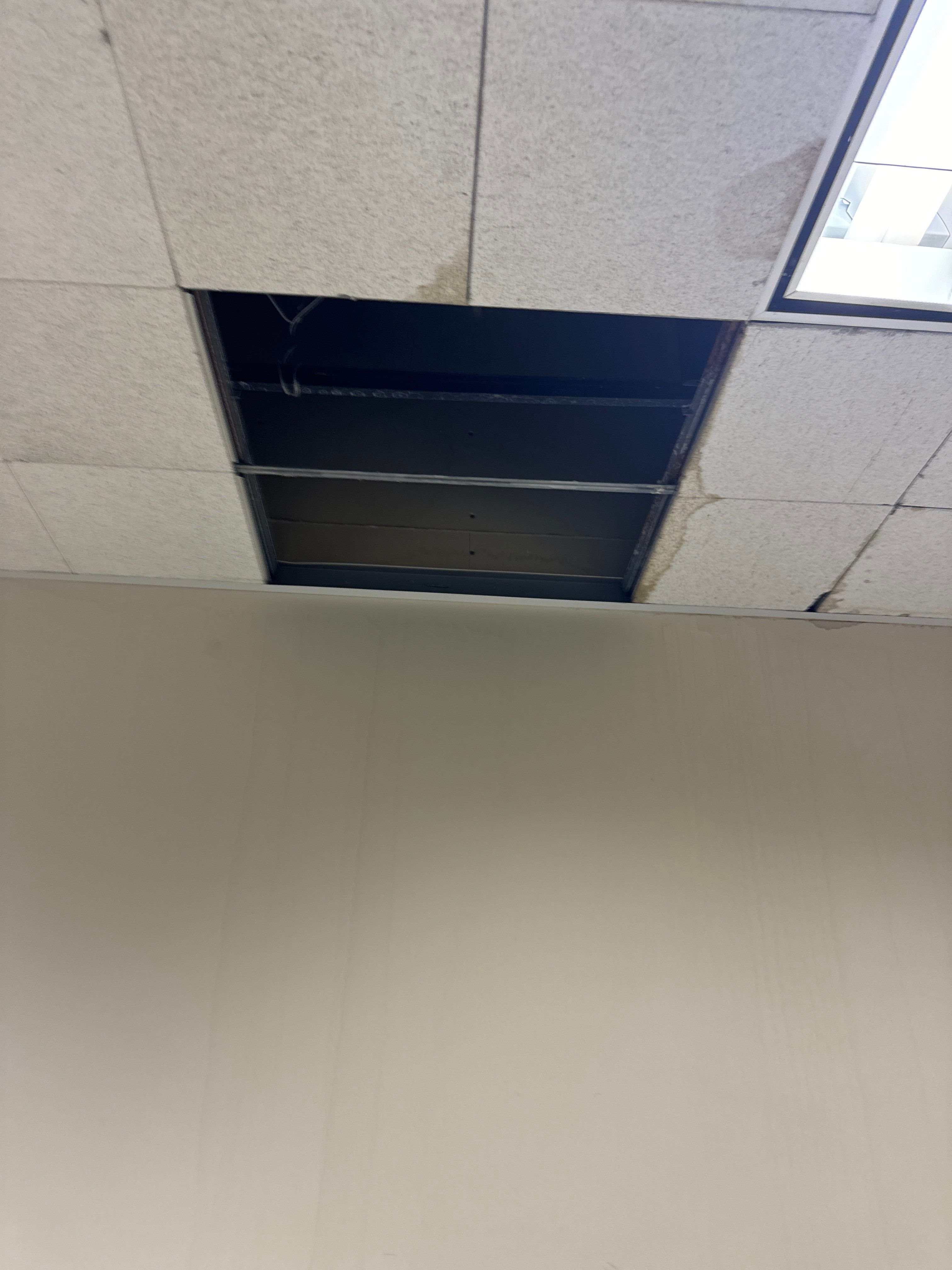 Mold Remediation Fairfield NJ by Pure Service Pro, LLC 