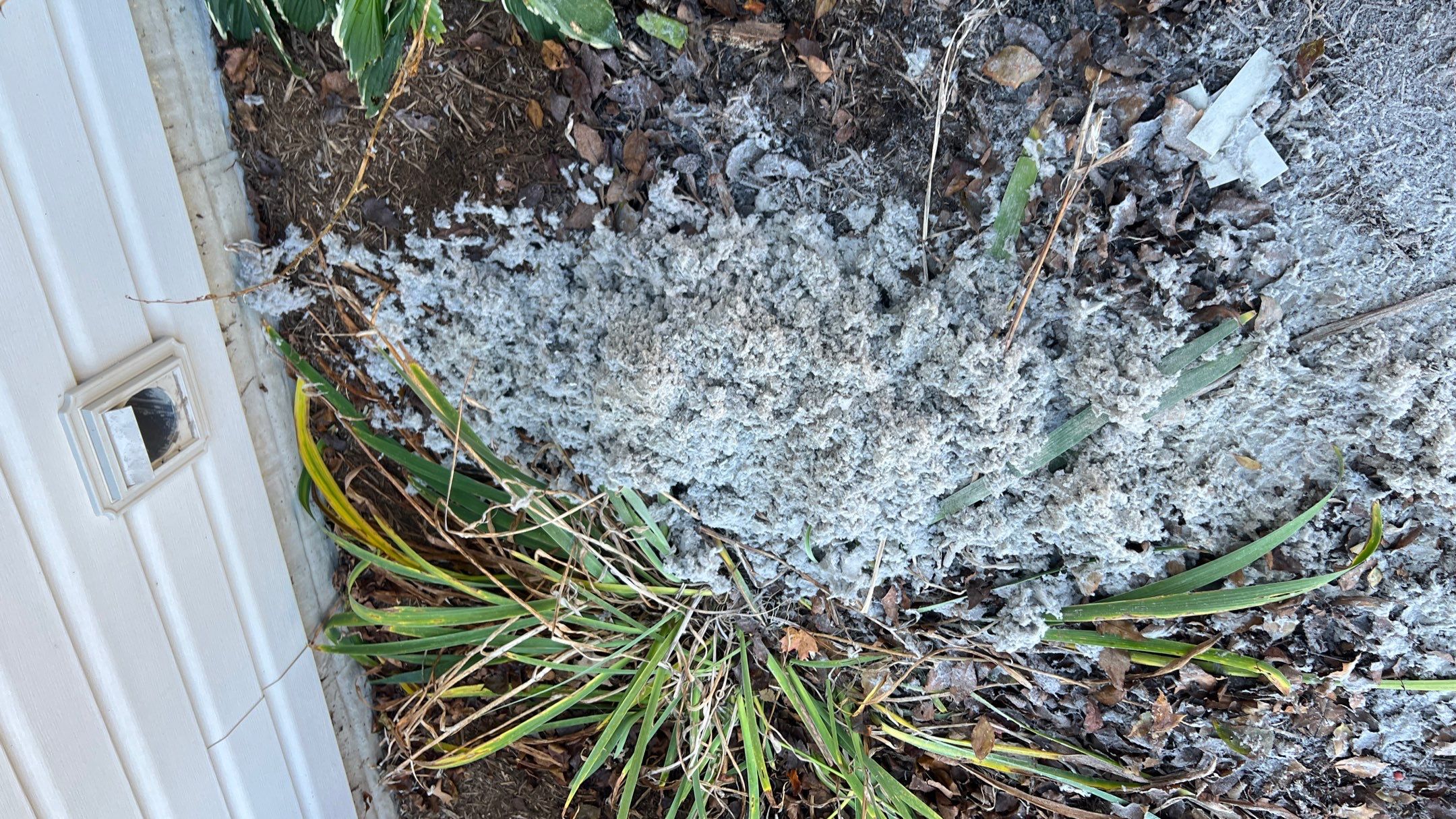 Dryer Vent Cleaning in Grove City, PA by Superior Air Duct Cleaning