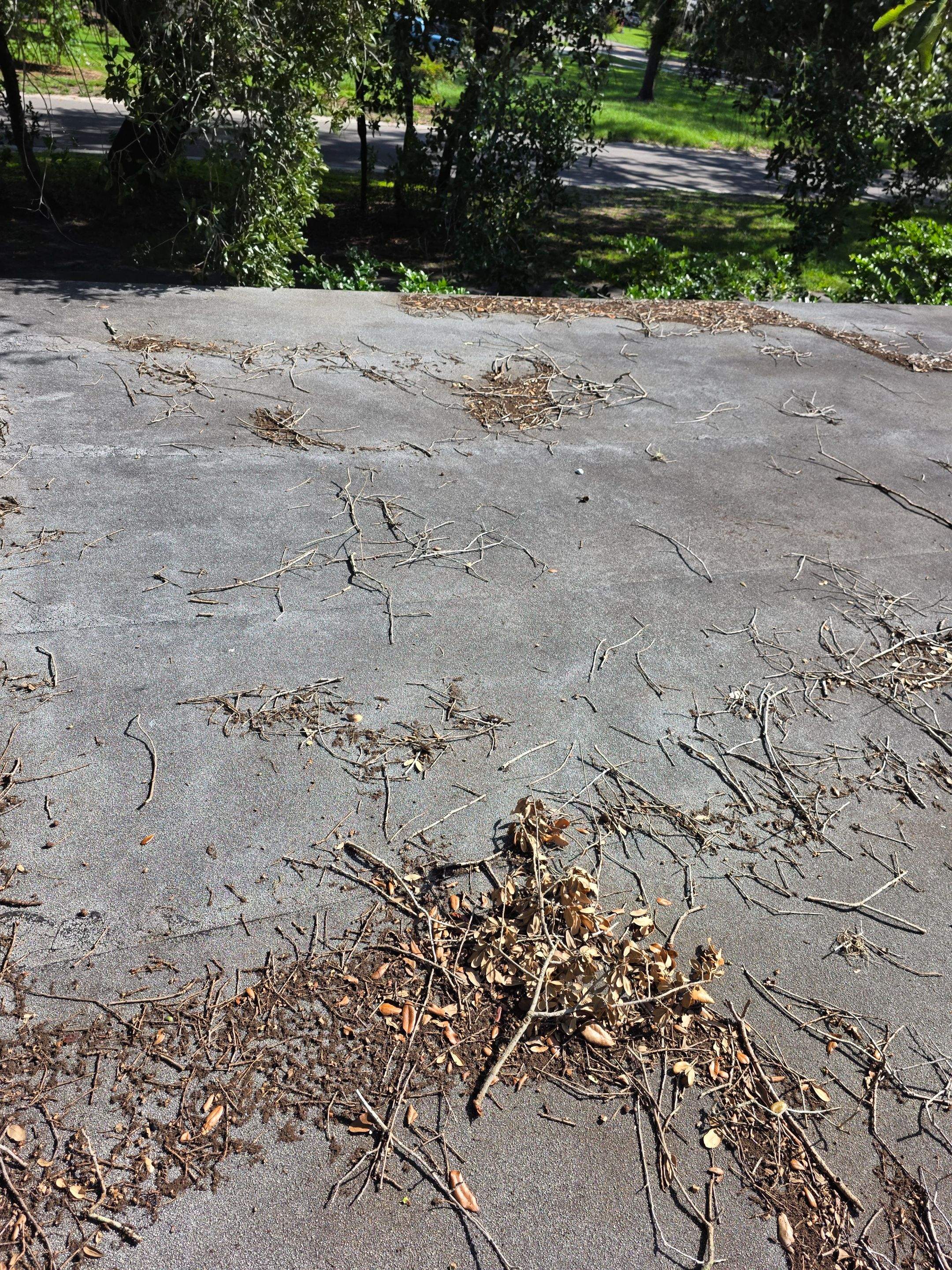 Industrial roof & gutter cleaning before photo.