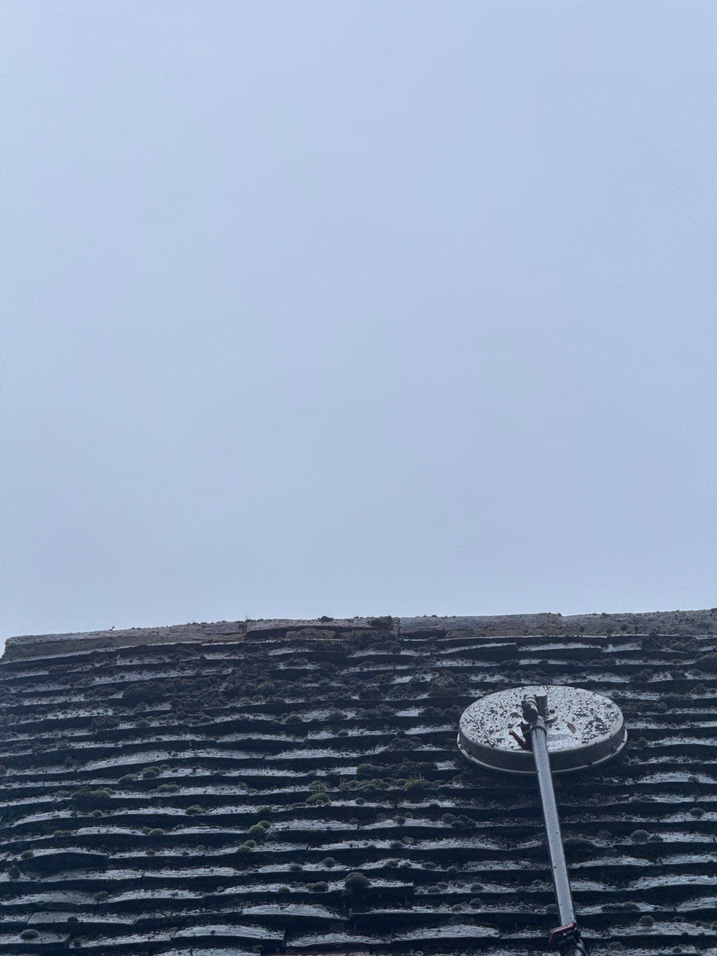 Roof Clean  - Moss Removal - Gutter Clean using Honda 15lpm Low Pressure Washing Machine by Ges Exterior Cleaning ltd