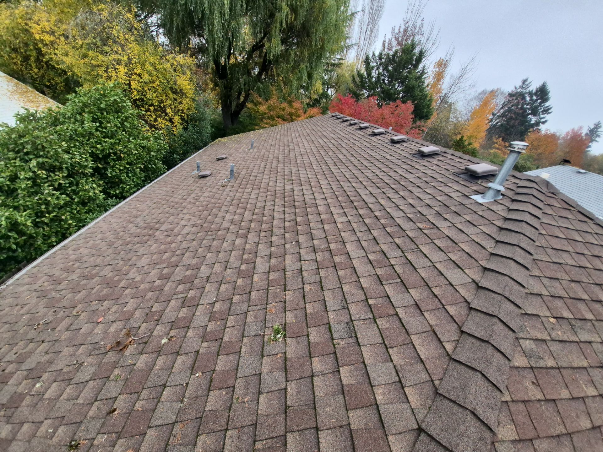 Project in Corvallis