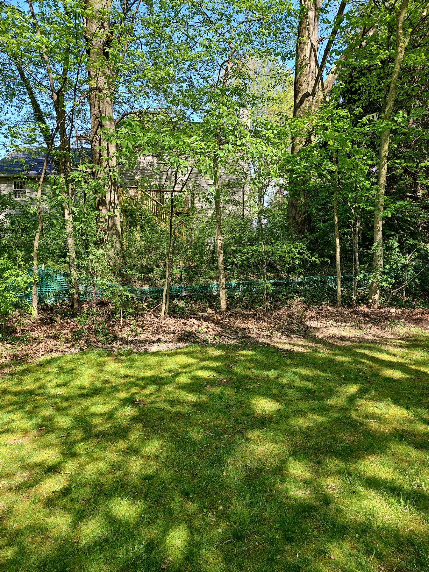 Tree Trimming using Tree Pruing by Mike Jones & Sons Tree Service LLC 