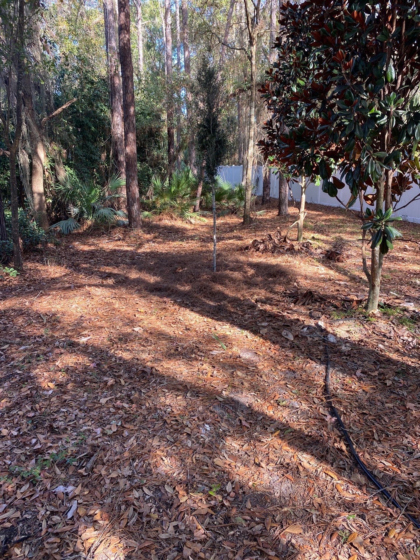Deerwood Resident | Tree Installation by ProGreen Services