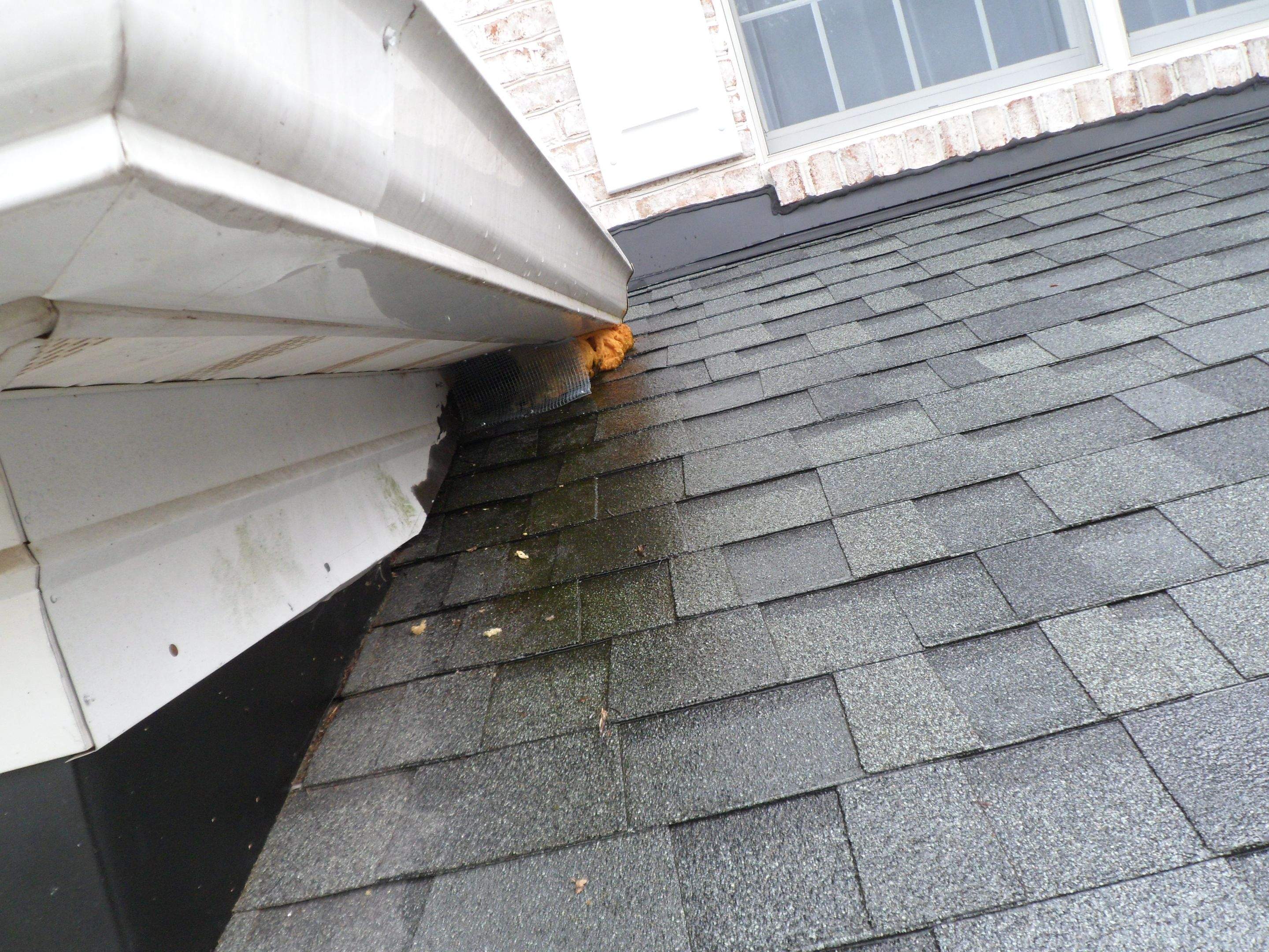 Exterior Damage using G8 Metal Trim coil by Alpha Design Services