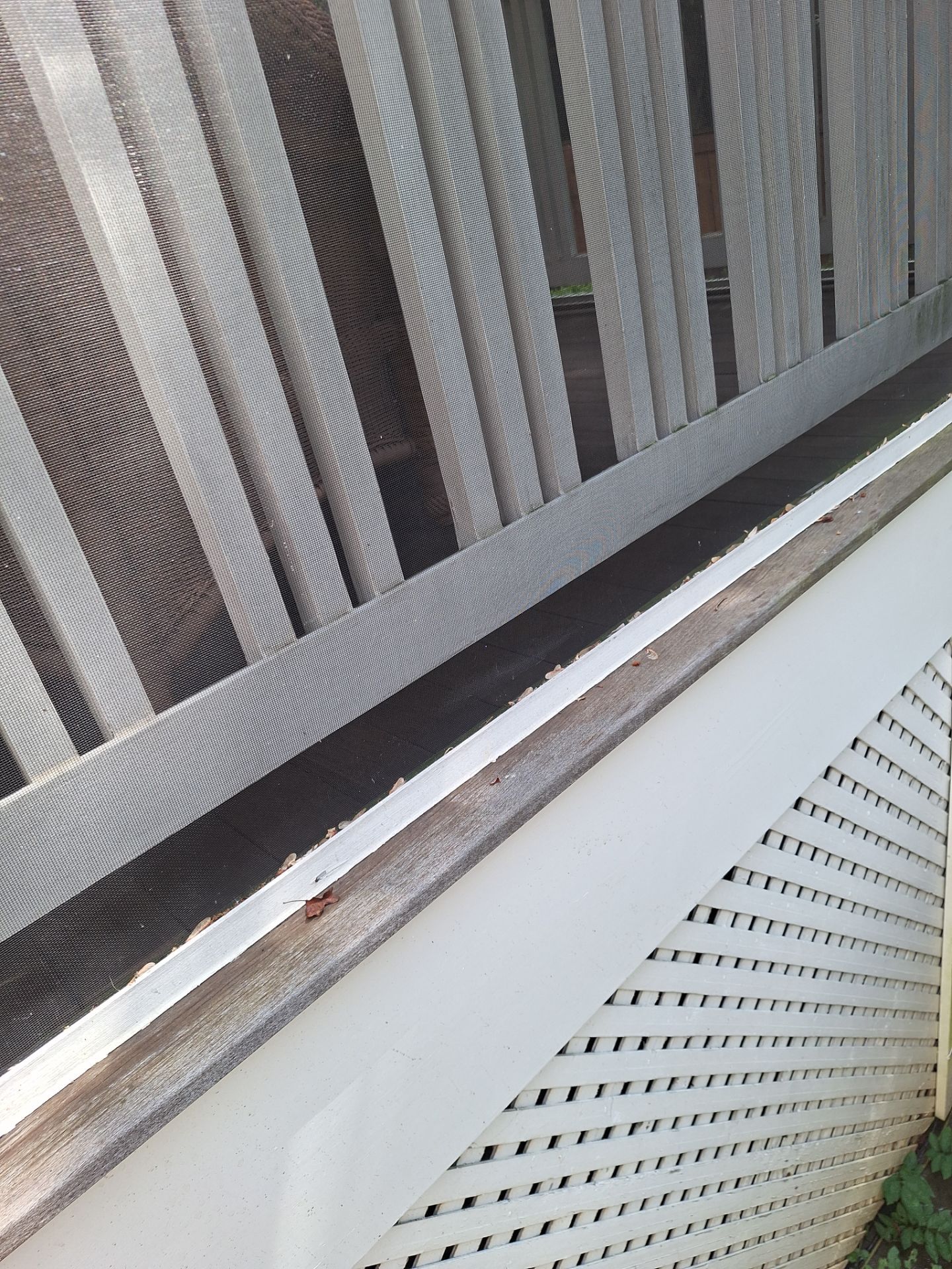 Deck Refinishing Arlington, VA by My Painter 